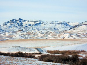 Snowy Bear Paw Mountains in January of 2011